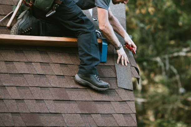 Best Roof Gutter Cleaning  in Dauphin Island, AL